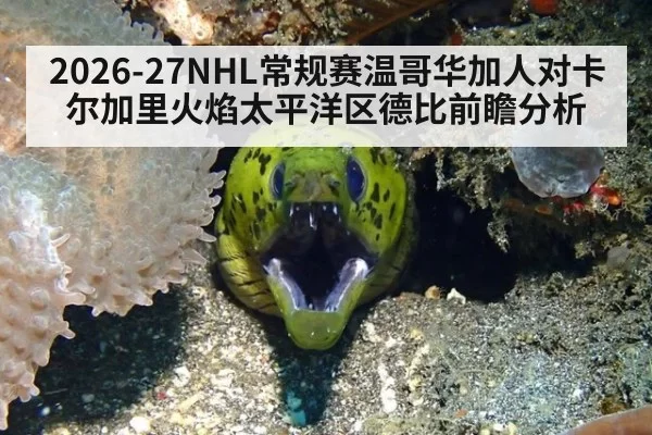 2026-27NHL常规赛温哥华加人对卡尔加里火焰太平洋区德比前瞻分析